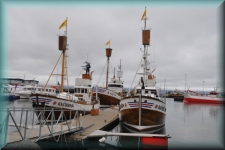 Oude vissersboten